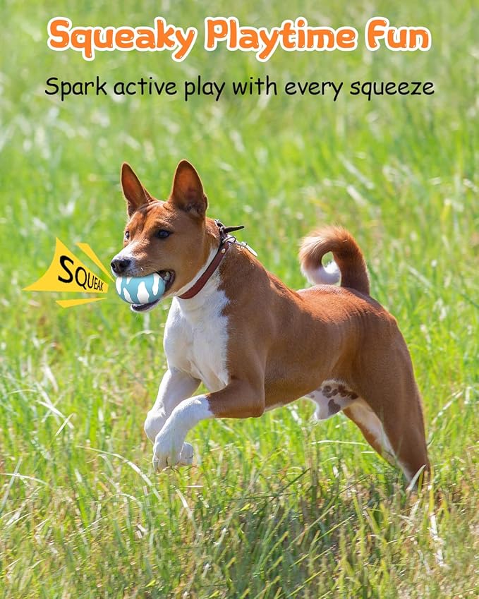 SCHITEC Squeaky Dog Toys for Aggressive Chewers, Tough Rubber Bouncy Balls for Boredom, Durable Pet Chew Toy Ball for Large Medium Breed Dogs (2.8 * 3.7inch)