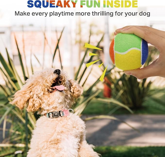 AMA SPORT Squeaky Balls for Dogs 2.5" Small Medium Dog Tennis Balls for Throwing and Fetching Dog Toys for Training, Exercise, High Bouncing 6 Pack Multicolor