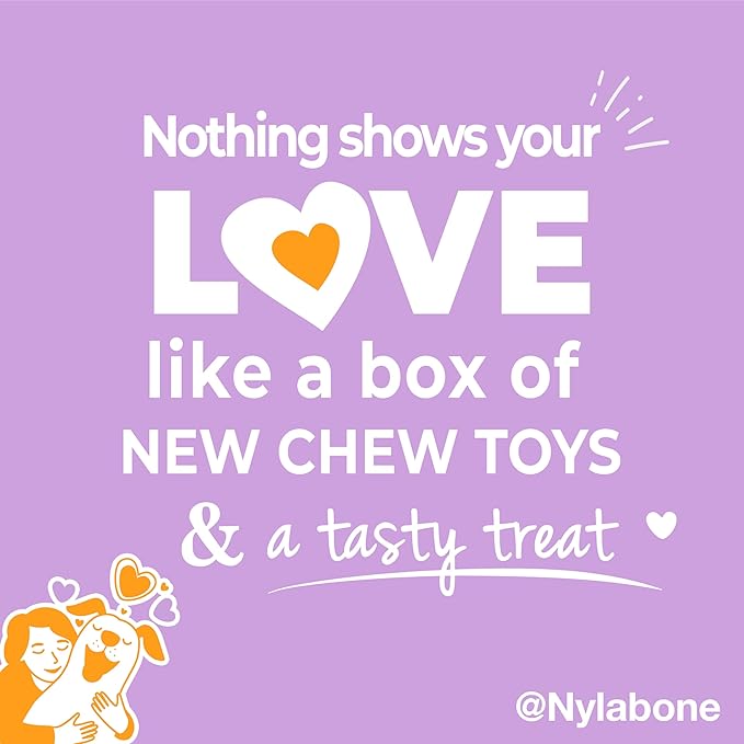 Nylabone Dog Gift Box, Includes 3 Strong Chew Toys and 1 Natural Treat, Gifts for Dogs, Small - Up to 25 lbs, 4 Pack