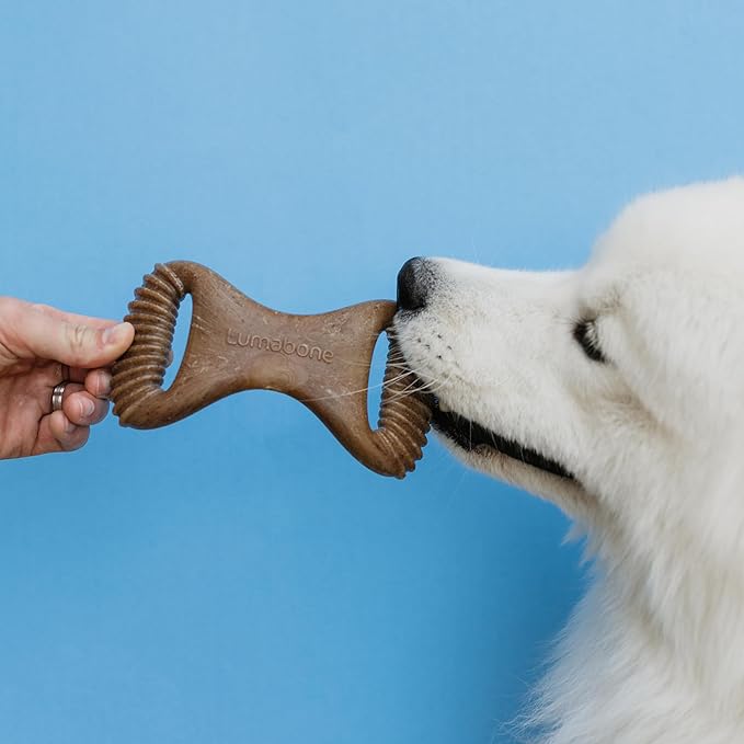 Real Bacon 3-Pack Dog Toys for Aggressive Chewers,Wishbone, Dental Chew, Ring Bacon Medium