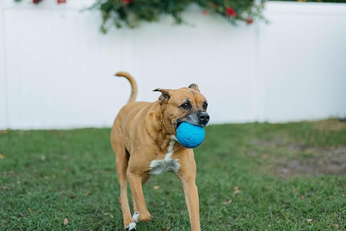 Jolly Pets Mini Jolly Soccer Ball; Floating-Bouncing Dog Toy; 4" Orange