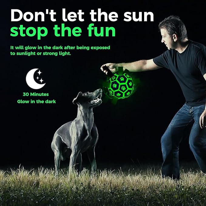 QDAN Premium Glow in The Dark Dog Toys, Dog Ball with Straps, Soccer Ball for Dogs, Outdoor Dog Toys, Pet Birthday Toys, Puppy Essentials for Small to Medium (6Inch)