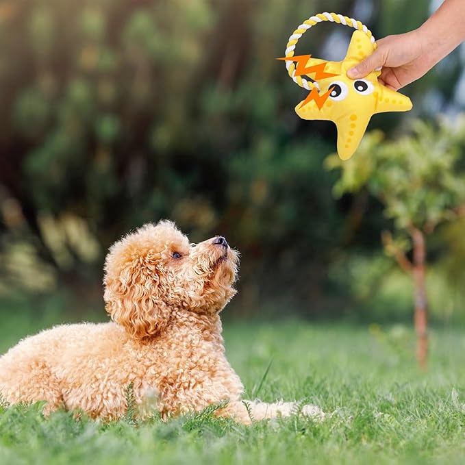 SCENEREAL Dog Water Toy for Small Medium Dogs- Floating Dog Toys Squeaky Toys for Pool Fetch, Starfish Shape Durable Rope Interactive Pet Chew Toy Summer Outdoor Interactive Play
