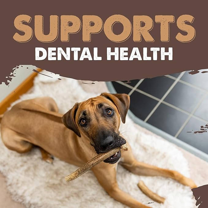 Mighty Paw Split Elk Antlers for Dogs (Sourced in The USA) | 1 Whole Monster 8"+ Long Lasting Bones for Aggressive Chewers - Naturally Shed Split Deer Antler for Dogs - Low Odor Chews (Pack of 1)