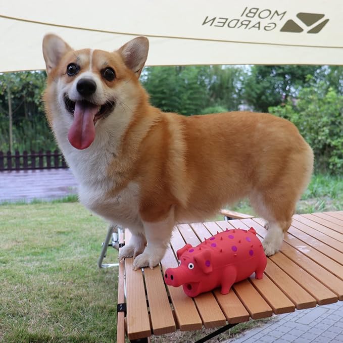 Pig Squeaky Dog Toy, 2 PCS Interactive Rubber Dog Chew Toy - Durable Latex Spot Grunting Pig Toys That Oink for Small Medium Large Dogs (Yellow, Pink)