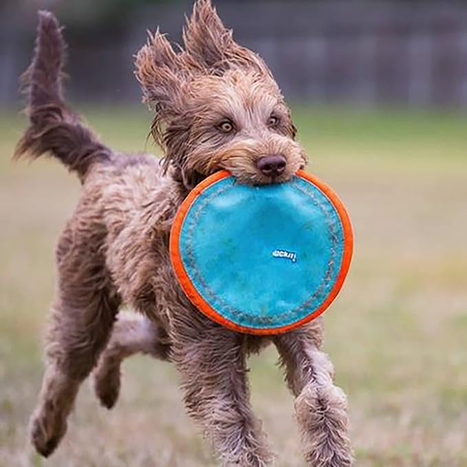 Chuckit! Paraflight Flying Disc Dog Toy - Water Floating Flyer - Durable Nylon Construction with Soft Rubber Edges - for Medium and Large Dogs - Size Large - 9.75" L x 9.75" W - Pack of 4