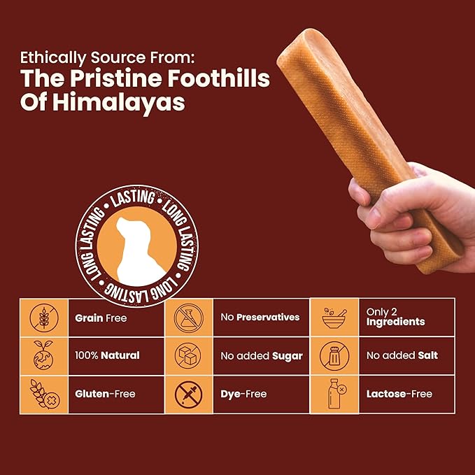 Authentic Himalayan Yak Cheese for Dogs - Small (Pack of 10) - Sourced from Pristine Himalayan Foothill, Rawhide-Free, NO preservatives