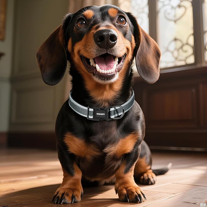 Reflective Dog Collar with Soft Padding Dog Collar for Medium & Small Dogs, No Pull, Heavy Duty, Adjustable Nylon Collar with Quick-Release Buckle, Walking Training-Grey-S