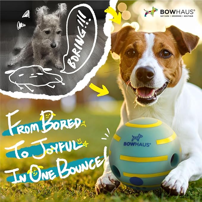 CAPHAUS Wobble Giggle Ball for Dogs, 5.5 Inch Durable Dog Exercise Toys, Non-Toxic Indestructible PVC Giggle Ball, Interactive Fun Squeaky Chew Toy for Indoor Outdoor Play