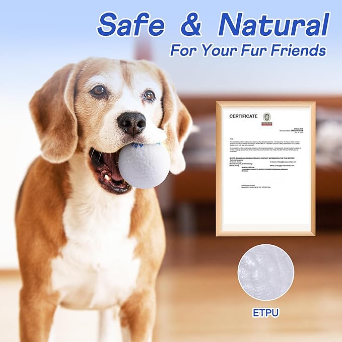 Durable Dog Balls - Tough Chew-Resistant TPU Fetch Toys for Aggressive Chewers, Puppies to Large Breeds - Floating Water & Dental Teeth Cleaning Balls (2.5 Inch,3-Pack, White)