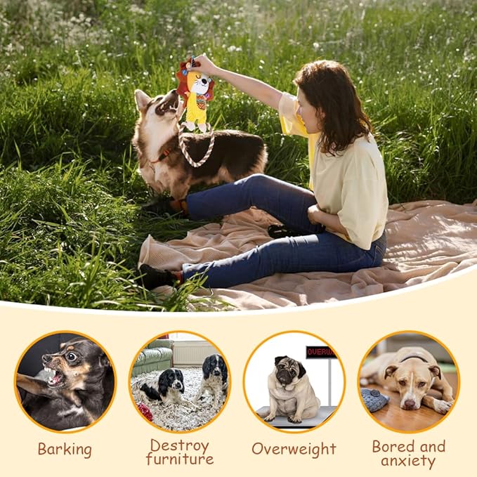 AWOOF Squeaky Dog Toys to Keep Them Busy Stuffed Dog Plush Toys for Puppy Small Medium Large Dogs Chew Toys with Rope Indoor Outdoor Puppy Toys Relieve Anxiety Birthday Gifts - 4Pack