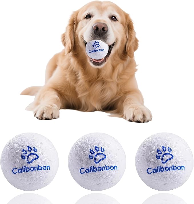 Durable Dog Balls - Tough Chew-Resistant TPU Fetch Toys for Aggressive Chewers, Puppies to Large Breeds - Floating Water & Dental Teeth Cleaning Balls (2.5 Inch,3-Pack, White)