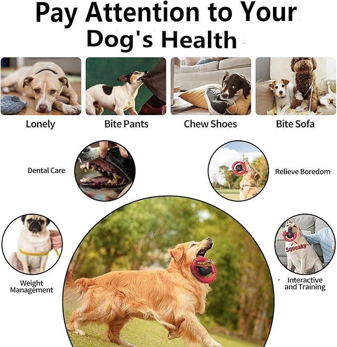 Tough Dog Toys for Aggressive Chewers Large Breed, Indestructible Nylon Rubber Squeaky Chew Toy for Big Dogs, Heavy Duty Super Chewer for Pitbull