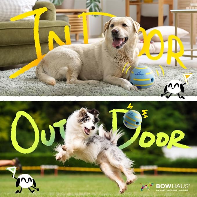 CAPHAUS Wobble Giggle Ball for Dogs, 5.5 Inch Durable Dog Exercise Toys, Non-Toxic Indestructible PVC Giggle Ball, Interactive Fun Squeaky Chew Toy for Indoor Outdoor Play