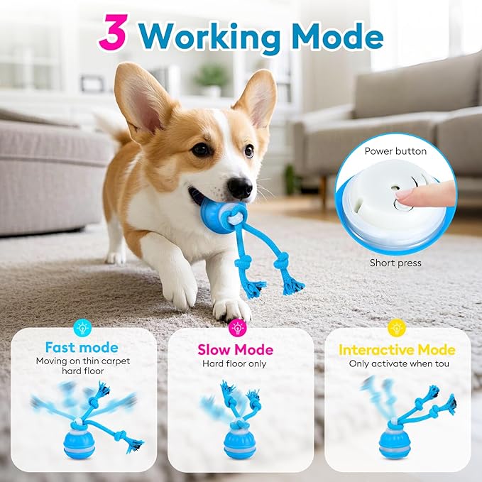 Interactive Dog Toy with Automatic Motion-Activated Squeaky Sound & Stimulation, Durable Puppy Chew Toys for Small/Medium Dogs – Training Treat Ball for Boredom, Anxiety Relief, and Teething Puppies