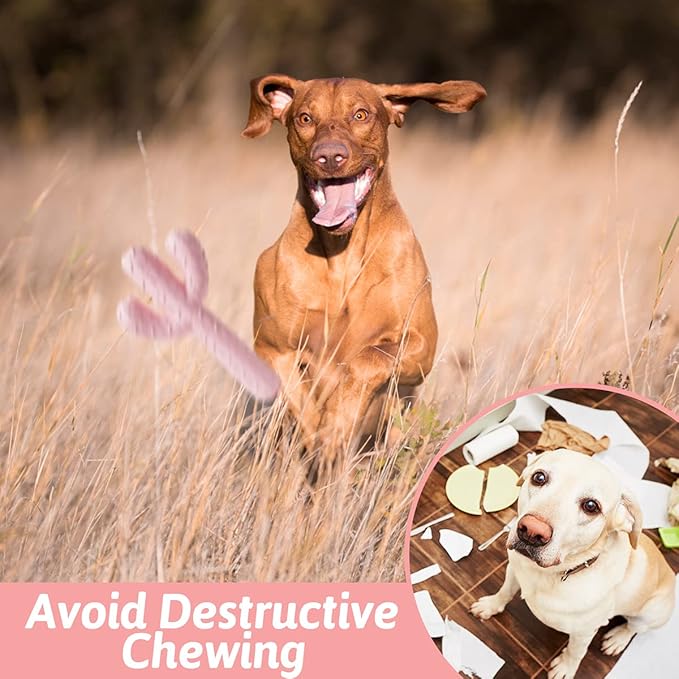 MewaJump Dog Chew Toys, Tough Rubber Dog Toys for Aggressive Chewers, Cactus Dog Toy for Training and Cleaning Teeth, Pink Cute Dog Toys for Medium/Large Dog