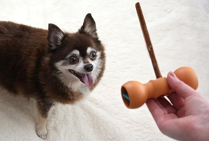 Bow Wow Labs Buddy Safety Device | Newly Redesigned Bully Stick Holder for Dogs | Made in The USA | Dishwasher Safe (XS)