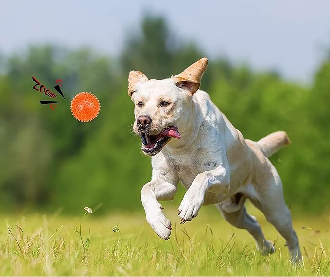 petizer 6 Pack 4.5inch Squeaky Dog Toy Balls Floating Spiky Pool Balls Interactive Fetch Toys for Large Dog