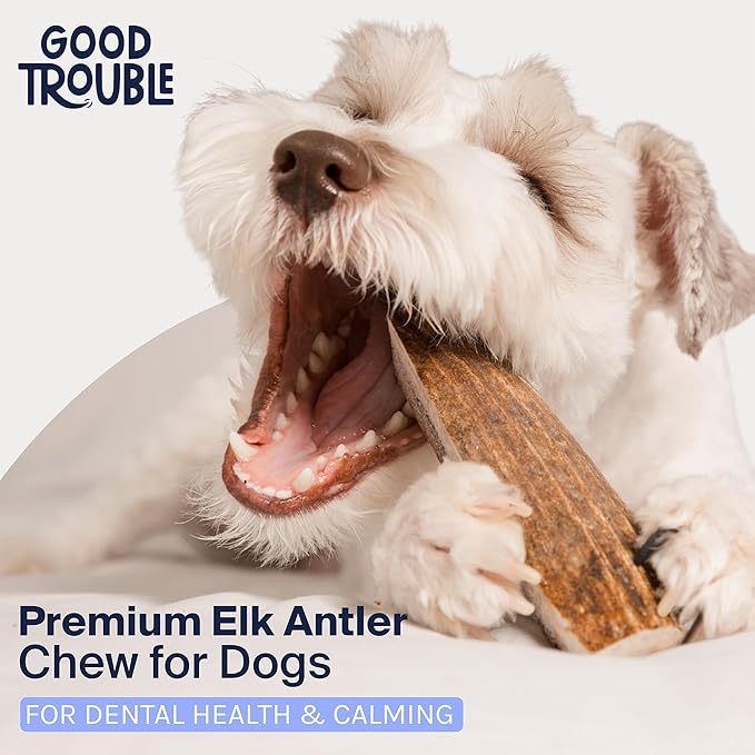 Good Trouble Premium Elk Antlers for Small Dogs – 1 Pack Split - All-Natural, Shed Antler Chews for Dental Health & Calming - Durable Dog Bones - Cruelty-Free, North American Sourced