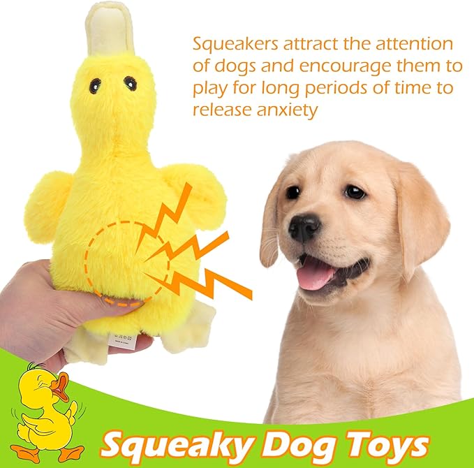 EXPAWLORER Plush Squeaky Duck Dog Toy - Soft Stuffed Small Dog Toys Cute Yellow Duck, Best Birthday Gift Interactive Filled Chew Toys for Puppy Small Medium Dogs Biting Training Teething, 2 Pack
