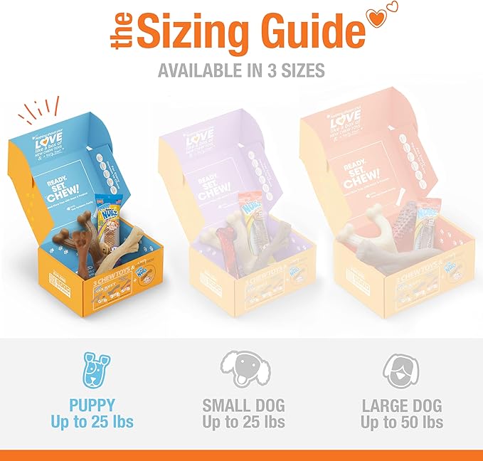 Nylabone Puppy Gift Box, Includes 3 Strong Puppy Chew Toys and 1 Natural Treat Bone for Puppies, Gifts for Puppies, Small Dogs - Up to 25 lbs., 4 Pack