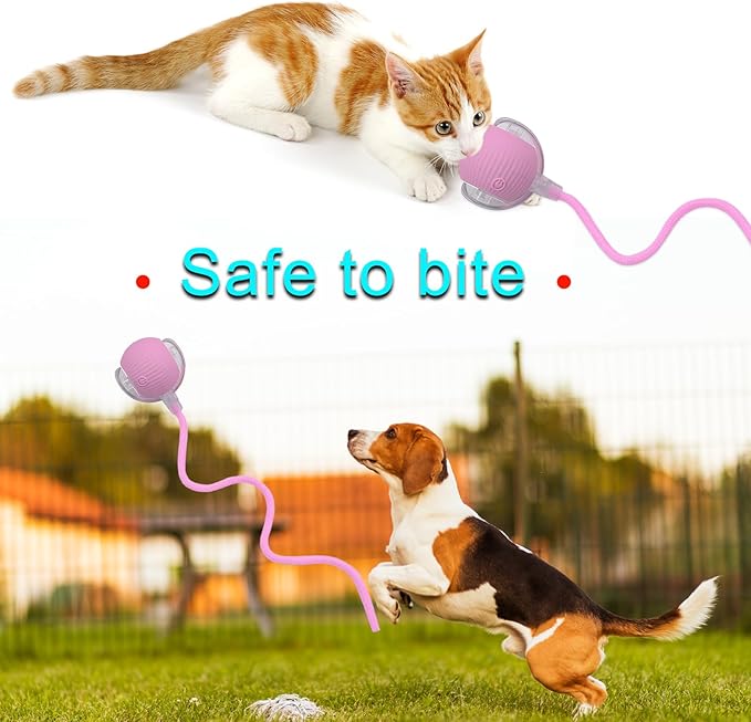 Interactive Cat Dog Toy Ball: Indoor Small Automatic Moving Smart Rolling Fun Pet Game with Led Light and String Tail for Motion Activated, Cute Kitten Puppy Present, Exercise Wheel Supplies (Pink)