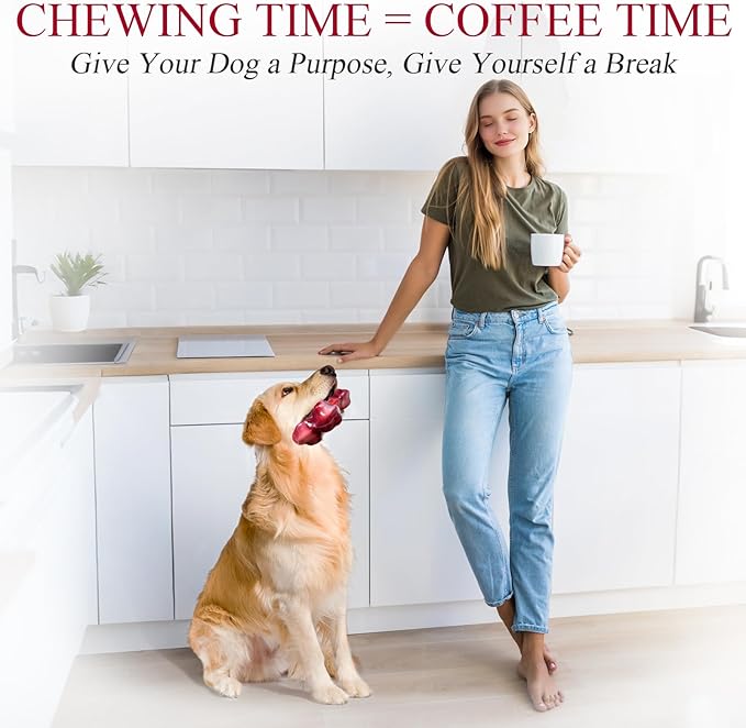 Apasiri Tough Dog Toys for Aggressive Chewers Large Breed, Beef Flavor Dog Chew Bone, Nylon & Rubber Chew Toy for Medium Large Dogs