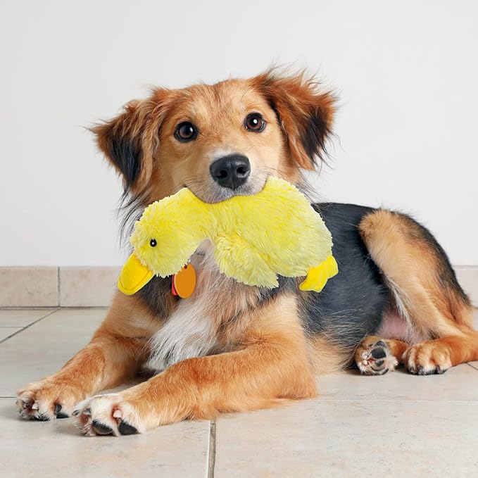 EXPAWLORER Plush Squeaky Duck Dog Toy - Soft Stuffed Cute Dog Duck Toy, Best Birthday Gift Interactive Filled Chew Toys for Puppy Small Medium Large Dogs Biting Training Teething, Yellow Large