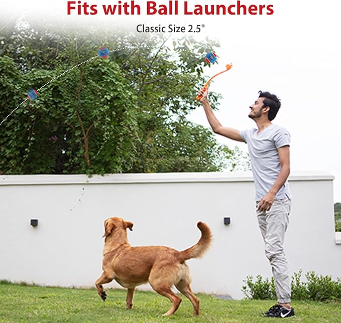 GiGwi Tennis Balls for Dogs, Squeaky Dog Tennis Balls for Exercise, High Bouncy Dog Balls Bright Colors 2.5 Inches, Interactive Funny Dog Toys for All Breeds of Dogs Indoor & Outdoor Dog Games, 3 Pack