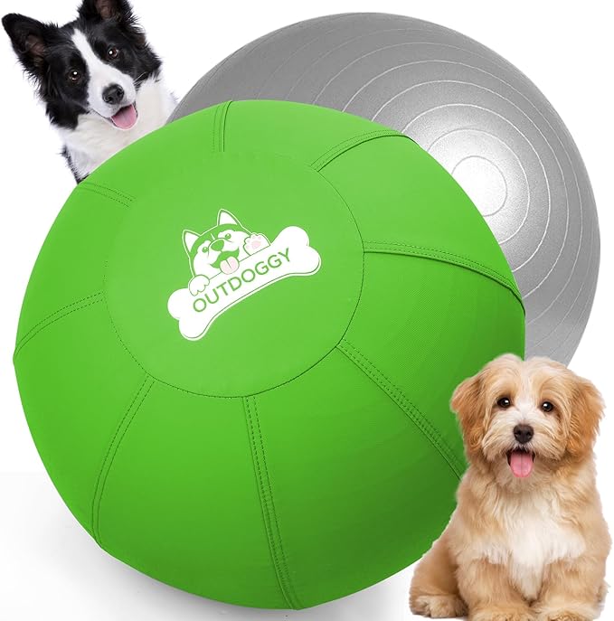 Herding Ball for Dogs 18 Inch - Dual-Layer Heavy Duty Herding Ball for Australian Shepherds, Border Collies & Corgis | Outdoor Herding Toy for Small/Medium Dogs - Backyard Training and Play - Green