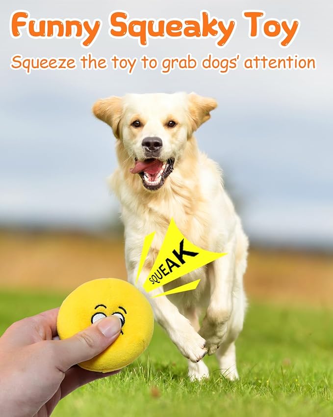 Squeaky Dog Toys, Interactive Soft Plush Puppy Toy Balls for Small Medium Breed, Cute Stuffed Pet Teething Ball Pack to Keep Dogs Busy