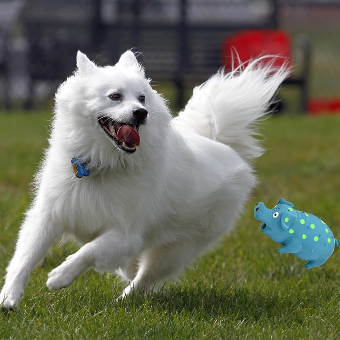 Pig Squeaky Dog Toy, 2 PCS Interactive Rubber Dog Chew Toy - Durable Latex Spot Grunting Pig Toys That Oink for Small Medium Large Dogs (Orange, Blue)