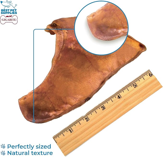 Best Pet Supplies GigaBite Roasted Pig Ears for Dogs, Natural and Healthy Chews, Treats in Whole, Slices, or Sticks, Safe for Puppies and Aggressive Chewers, Clean Teeth and Gums - Pack of 24