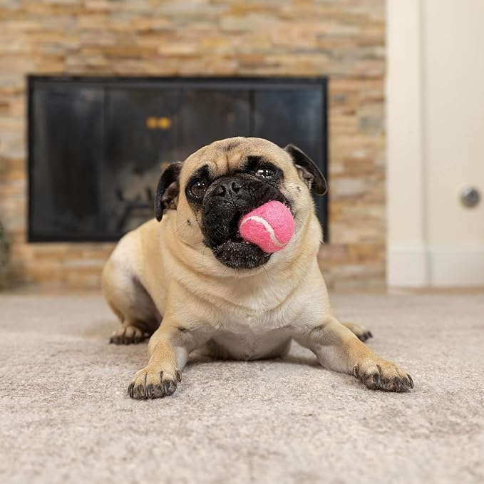 Hyper Pet MINI Tennis Balls for Dogs (Safe Dog Ball Tennis Balls for Exercise & Training) Interactive Toys work with Hyper Pet K9 Kannon MINI Dog Ball Launcher - 4 Pack Pink