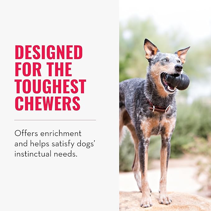 KONG Extreme Dog Toy - Fetch & Chew Toy - Treat-Filling Capabilities & Erratic Bounce for Extended Play Time Most Durable Natural Rubber Material - for Power Chewers - for Large Dogs (Pack of 2)