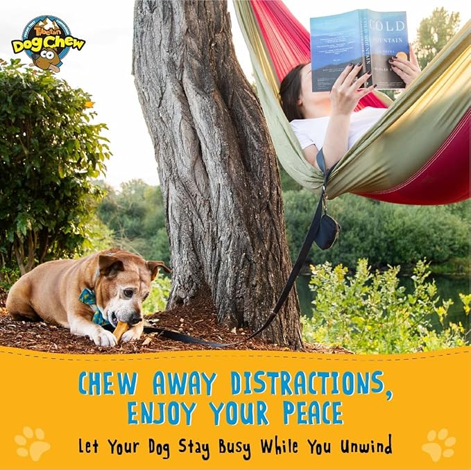 Tibetan Dog Chew Yak Cheese Sticks - Natural Treats for Small to Large Dogs, Lasting, Digestible, Promotes Dental Health, Rawhide and Grain-Free, Ideal for Aggressive Chewers, 15-Pack