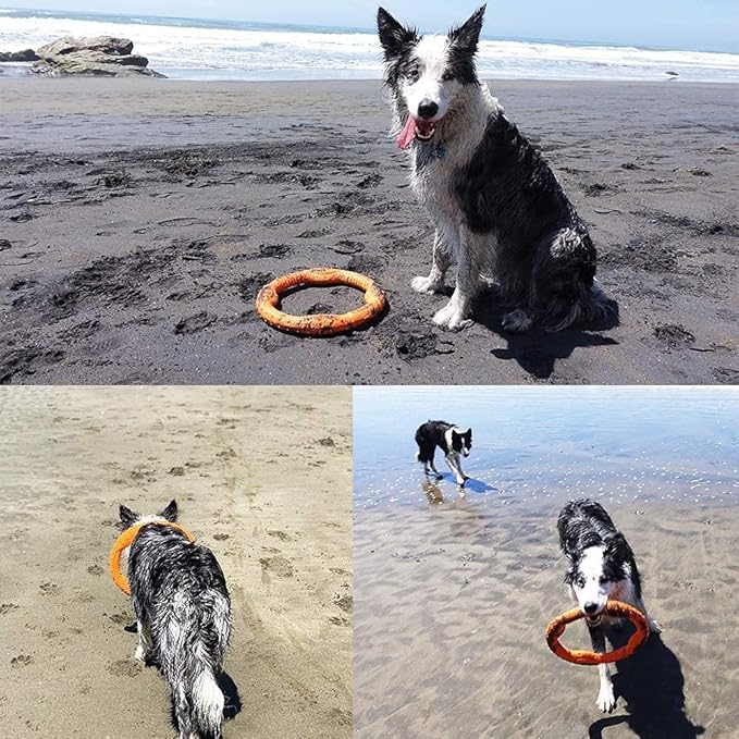 LaRoo Floatable Dog Frisbee, Fetch Toy & Ring Tug Toy - Teething Relief, Catch, Water Fun, Pet Training Outdoor Durable Chew Toys for Small Medium Dogs (Orange)