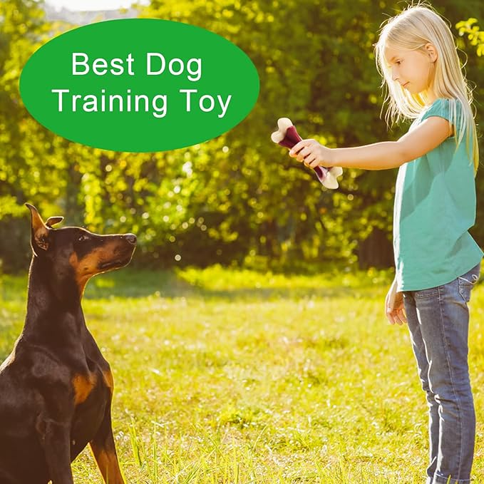 2 Pack Dog Chew Toys for Aggressive Chewers, Beef Flavor Indestructible Nylon Puppy Bone Tough Teething & Calming for Large Medium Breeds(20lbs-75lbs) Birthday Gift Christmas