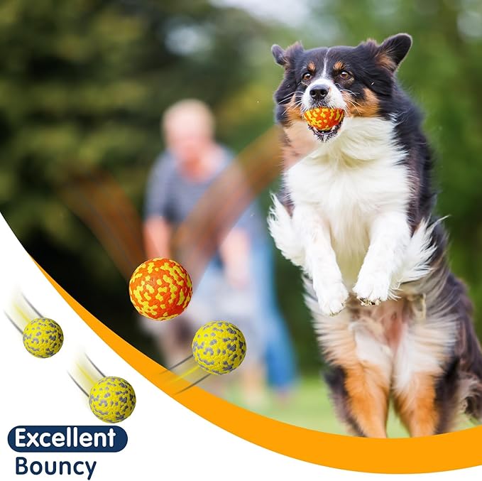 Leyndo 10 Pack Dog Balls for Aggressive Chewers 2.5" Interactive Dog Tennis Ball Durable Teething Chew Toys Lightweight Floating Bouncy Balls for Fetch Game Large Medium Small Canine Puppies