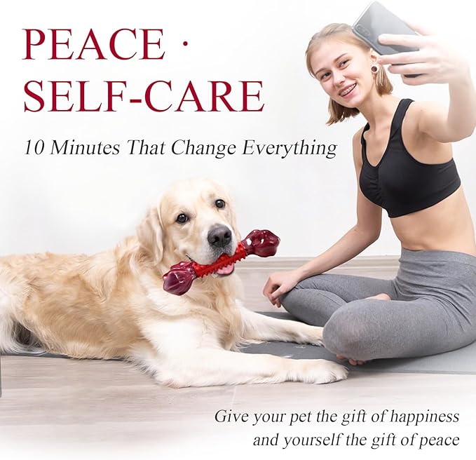 Apasiri Tough Dog Toys for Aggressive Chewers Large Breed, Beef Flavor Dog Chew Bone, Nylon & Rubber Chew Toy for Medium Large Dogs