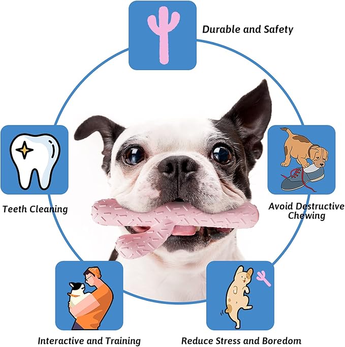 MewaJump Dog Chew Toys, Tough Rubber Dog Toys for Aggressive Chewers, Cactus Dog Toy for Training and Cleaning Teeth, Pink Cute Dog Toys for Medium/Large Dog
