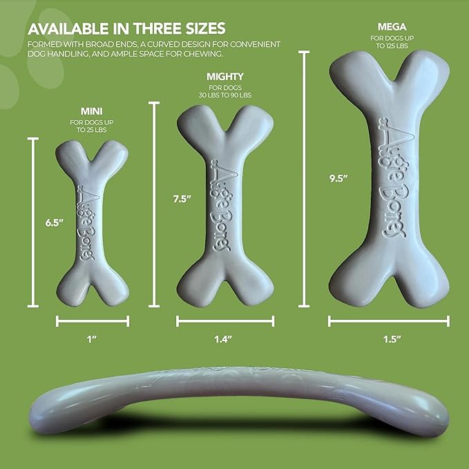 2-Pack Non-Toxic Dog Toys - Sustainable Roasted Peanut Butter Flavored Dog Chew Toys for Aggressive Chewers - Plant-Based Bioplastic Pet Toys - Made in The USA (Mighty)