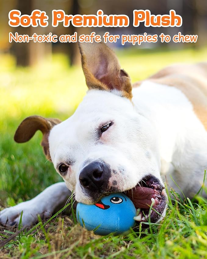 Squeaky Dog Toys, Interactive Soft Plush Puppy Toy Balls for Small Medium Breed, Cute Stuffed Pet Teething Ball Pack to Keep Dogs Busy