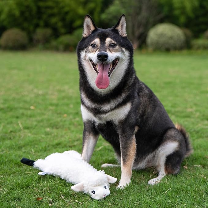 2-in-1 Stuffless Squeaky Dog Toys with Soft, Durable Fabric for Small, Medium, and Large Pets by Best Pet Supplies - No Stuffing for Indoor Play, Sheep, Cow, size L