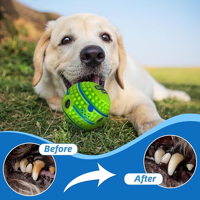 Spiky Interactive Dog Toys Ball, Shaking with Gibbering Sound, for Training, Teeth Cleaning & Herding, Straight, XS, 2.75 in (7 cm)