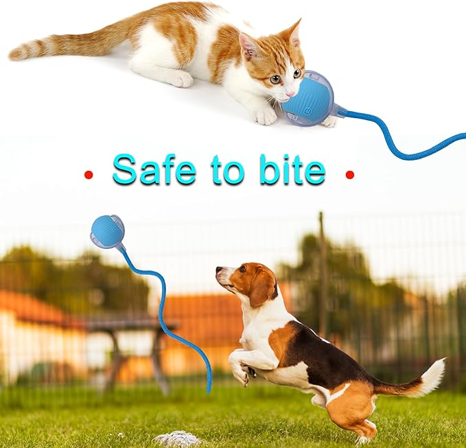 Interactive Cat Dog Toy Ball: Indoor Small Automatic Moving Smart Rolling Fun Pet Game with Led Light and String Tail for Motion Activated, Cute Kitten Puppy Present, Exercise Wheel Supplies (Blue)