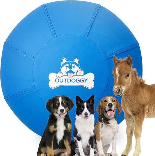 Herding Ball for Dogs 22 Inch - Dual-Layer Heavy Duty Herding Ball for Australian Shepherds, Border Collies & Cattle Dogs | Outdoor Herding Toy for Medium/Large Dogs - Backyard Training and Play-Blue