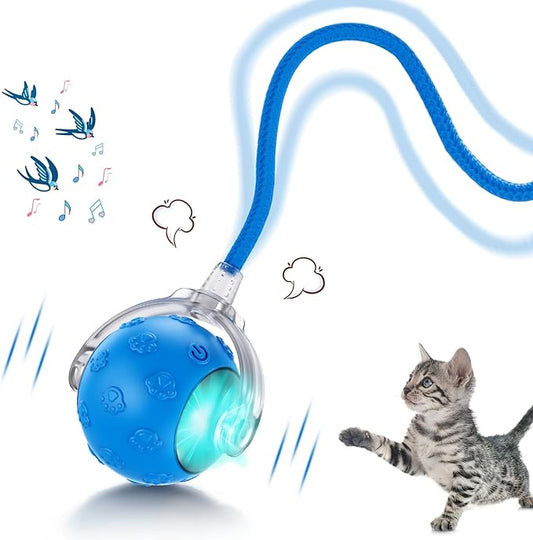 Interactive Cat Toys for Indoor Cats, 2025 New Upgraded Moving Cat Ball with Chirping Sound, Rechargeable Fast Rolling Ball, Fun Automatic Kitten Toys for Bored Adult Kitten Exercise, Blue