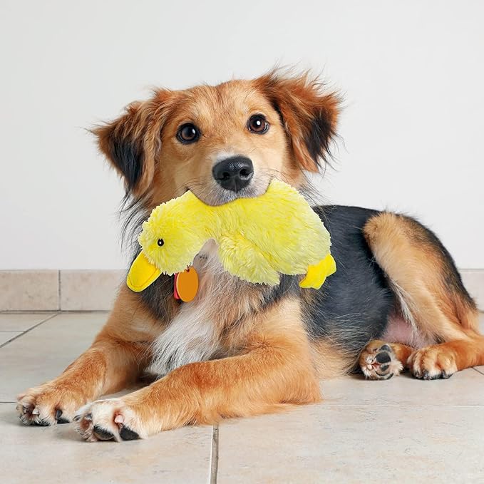 EXPAWLORER Plush Squeaky Duck Dog Toy - Dog Toys to Keep Them Busy, Soft Stuffed Animal, Best Birthday Gift Interactive Filled Chew Toys for Small Medium Dogs Puppy Biting Training Teething, Yellow
