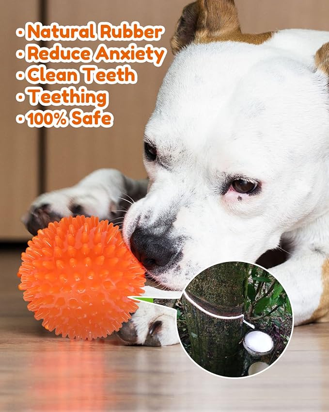 4.5” Heavy Duty Squeaky Dog Balls for Medium Large Dogs, Dog Toys for Aggressive Chewers, Spike Ball Toys for Clean Teeth and Training(2 Pack)